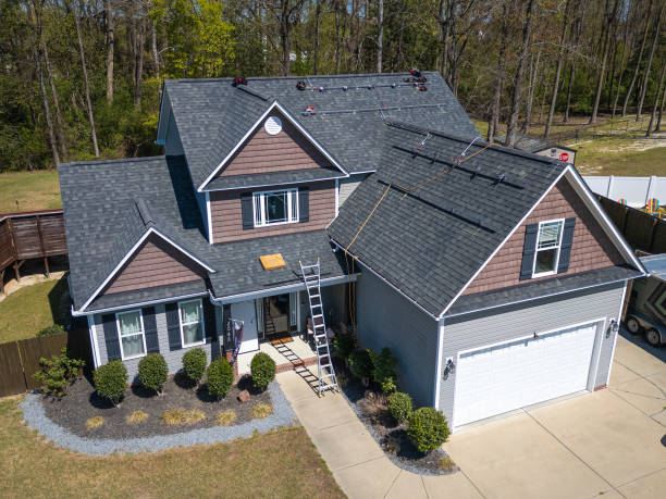 Best Roof Insulation Installation  in Thief River Falls, MN