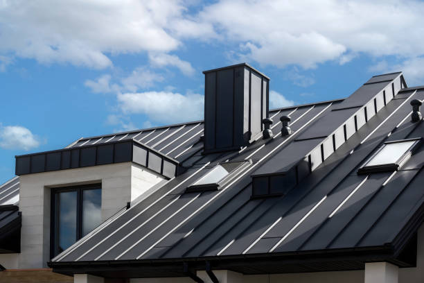 Best Metal Roofing Installation  in Thief River Falls, MN
